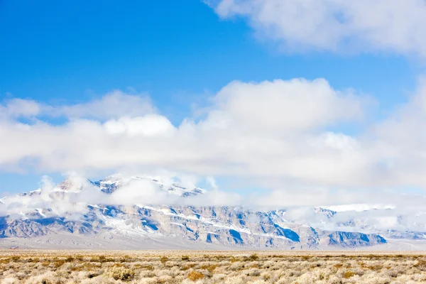 冬山在内华达州，美国 — 图库照片