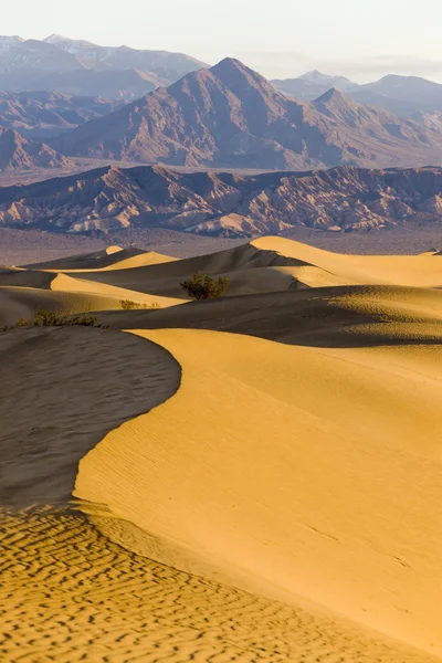 Stovepipe brunnar sanddyner, death valley nationalpark, californ — Stockfoto