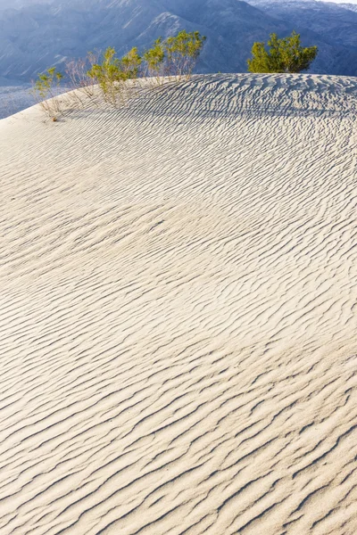 Soba borusu, kum tepeleri, ölüm Vadisi Milli Parkı, California'dan kuyuları — Stok fotoğraf