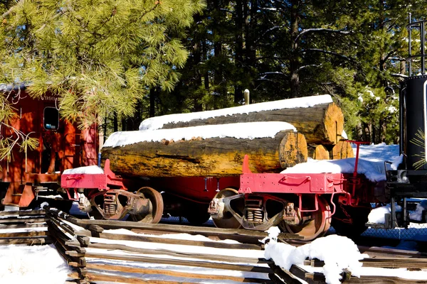 Güterwagen, Flaggenstab, arizona, usa — Stockfoto