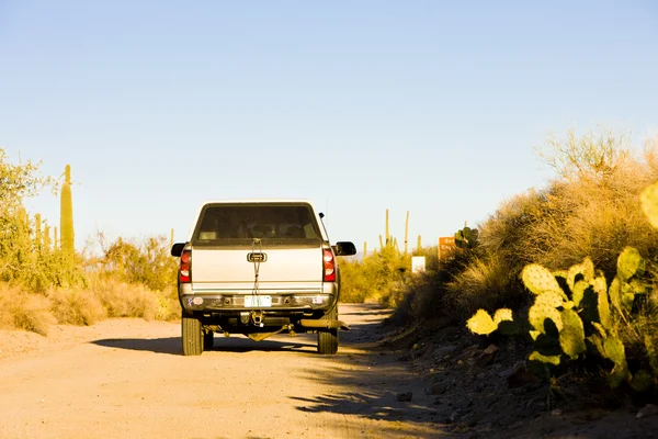 Off-Road, saguaro nationaal park, arizona, Verenigde Staten — Stockfoto