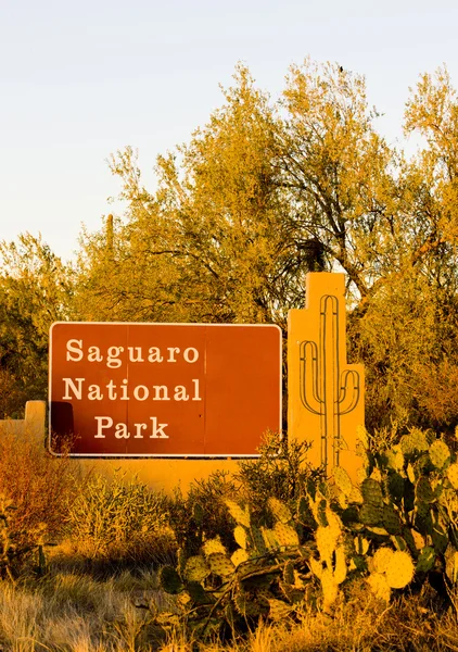 入口处，萨瓜罗国家公园，亚利桑那州美国 — 图库照片