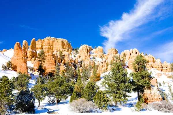 ブライス・キャニオン国立公園in Winter,ユタ州,アメリカ — ストック写真
