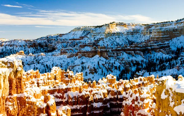 Parque Nacional Bryce Canyon en invierno, Utah, EE.UU. — Foto de Stock