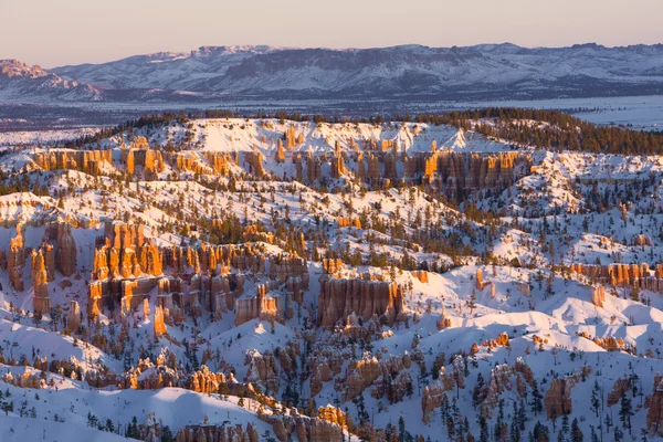 Národní park Bryce canyon v zimě, utah, usa — Stock fotografie