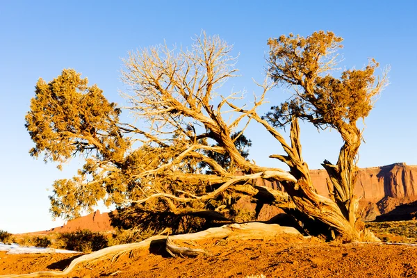 纪念碑谷国家公园、 美国犹他州-亚利桑那州 — 图库照片