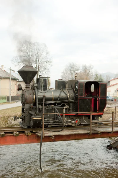 Buhar ciernohronska tren, lokomotif, Slovakya — Stok fotoğraf