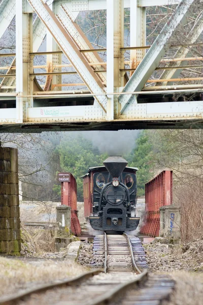 Comboio a vapor, Ciernohronska Railway, Eslováquia — Fotografia de Stock