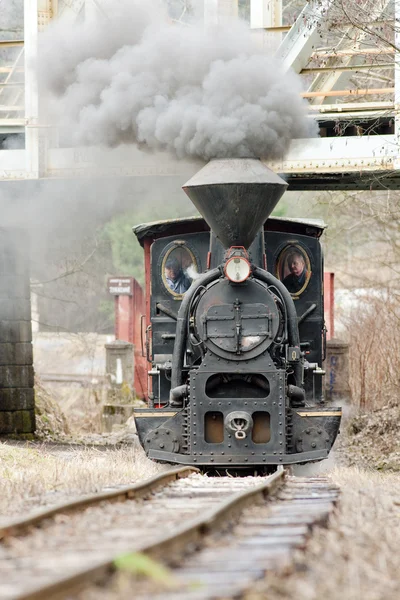 Locomotora de vapor, Ferrocarril Ciernohronska, Eslovaquia — Foto de Stock