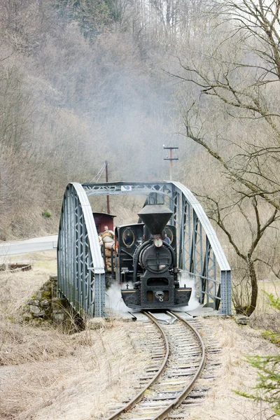 증기 기관차, 슬로바키아, 치르 노론 스카 철도 — 스톡 사진