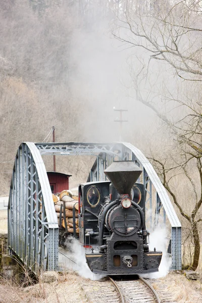 蒸気機関車,シエルノロンスカ鉄道,スロバキア — ストック写真