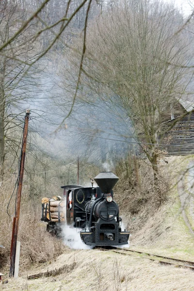 Tren de vapor, ferrocarril de Ciernohronska, Eslovaquia — Foto de Stock