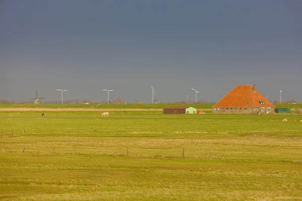 Väderkvarnar, Nederländerna Stockbild