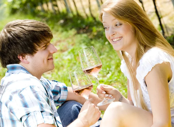 Paar op een picknick in wijngaard Rechtenvrije Stockfoto's