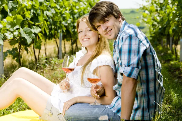 Paar op een picknick in wijngaard Stockafbeelding