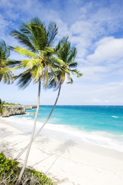 Bottom Bay, Barbados, Caribisch gebied Stockfoto
