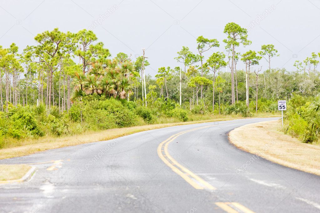 Road in Everglades National Park, Florida, USA