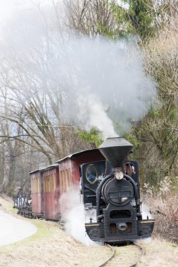 Buhar treni, Ciernohronska Demiryolu, Slovakya