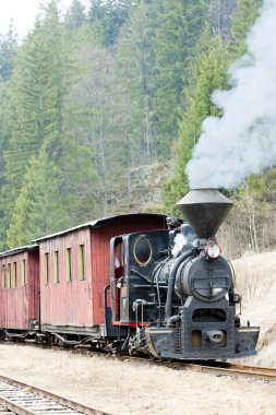 Steam train, Ciernohronska Railway, Slovakia clipart