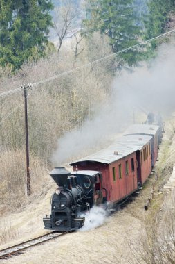 Buhar treni, Ciernohronska Demiryolu, Slovakya