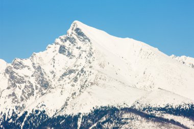 Krivan, Vysoke Tatry (yüksek Tatras), Slovakya