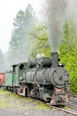 Dar hat demiryolu, banovici, Bosna ve Hersek