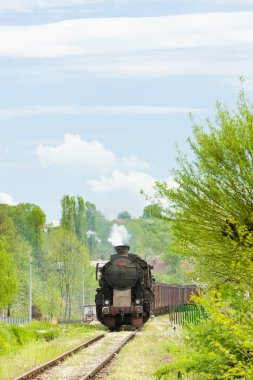 yük treni tuzla bölgesi, Bosna ve Hersek Buhar