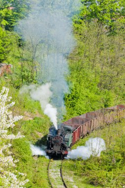 Buhar yük treni, durdevik, Bosna ve Hersek