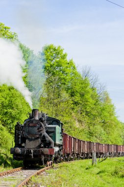 Buhar yük treni, durdevik, Bosna ve Hersek