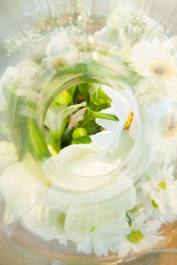 Natürmort - beyaz çiçek (şarap kokusu örneği)
