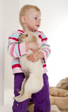 Little girl playing with puppy of golden retriever clipart