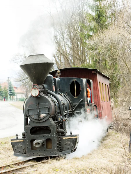 Comboio a vapor, Ciernohronska Railway, Eslováquia — Fotografia de Stock