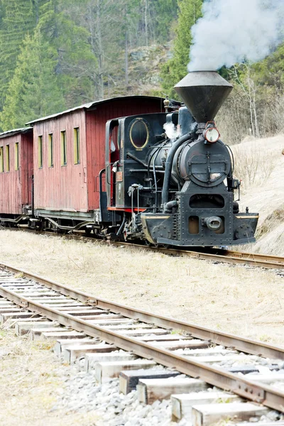 Ångtåg, Ciernohronska järnvägen, Slovakien — Stockfoto