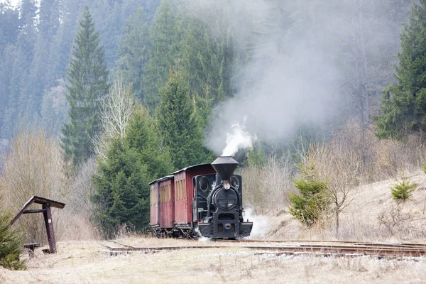 Steam train, Ciernohronska Railway, Slovakia — Stock Photo, Image