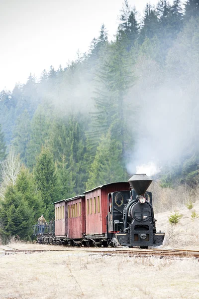 Comboio a vapor, Ciernohronska Railway, Eslováquia — Fotografia de Stock
