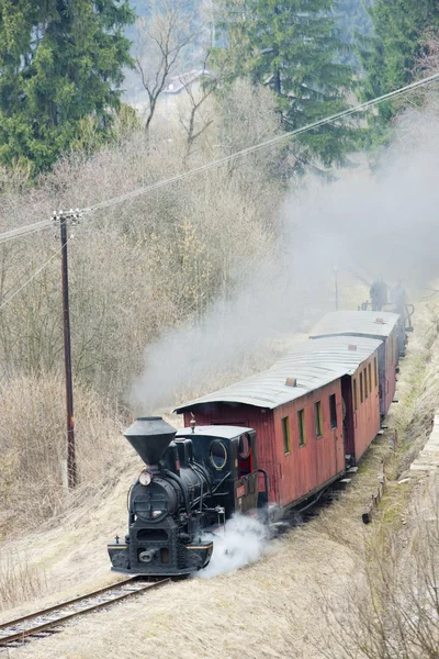 Treno a vapore, Ferrovia Ciernohronska, Slovacchia — Foto Stock