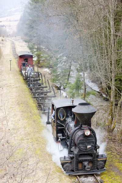 Steam train, Ciernohronska Railway, Slovakia — Stock Photo, Image