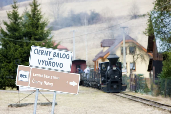 Ångtåg, Ciernohronska järnvägen, Slovakien — Stockfoto
