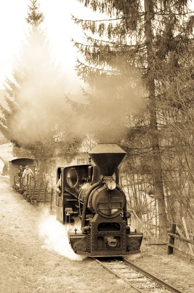 Ατμοκίνητη αμαξοστοιχία, σιδηρόδρομος Ciernohronska, Σλοβακία — Φωτογραφία Αρχείου