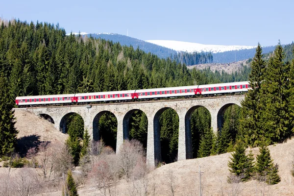 Telgart, Slovakya yakınındaki demiryolu Viyadüğü üzerinde yolcu treni — Stok fotoğraf