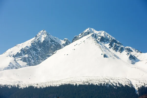 Vysoke Tatry (Hautes Tatras), Slovaquie — Photo