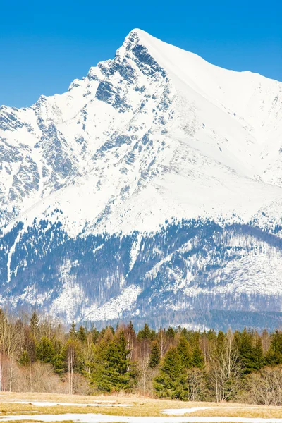 Krivan, Vysoké Tatry (höga Tatra), Slovakien — Stockfoto