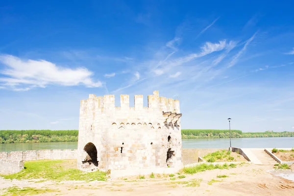 Fortezza di Smederovo, Serbia — Foto Stock