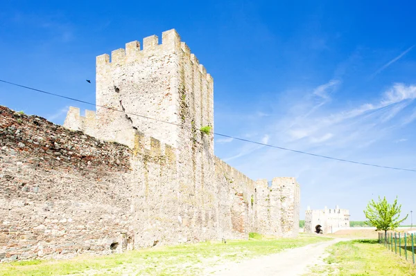 Smederovon linnoitus, Serbia — kuvapankkivalokuva