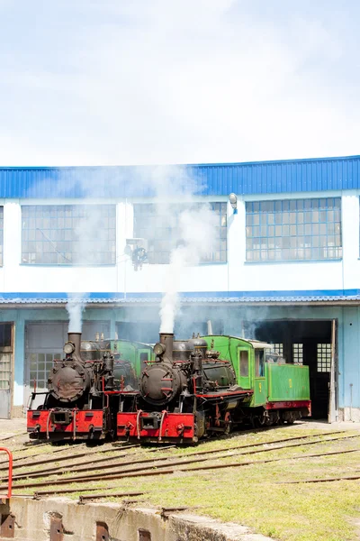 Steam locomotives in depot, Kostolac, Serbia — Stock Photo, Image