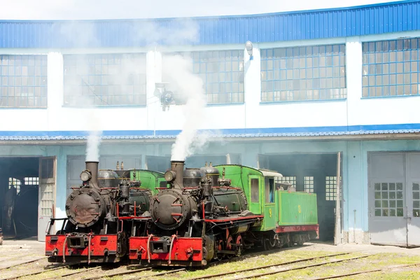 Stoom locomotieven in depot, kostolac, Servië — Stockfoto