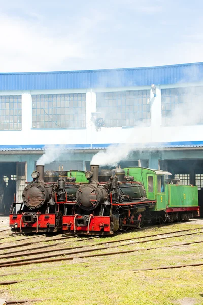 Locomotivas a vapor no depósito, Kostolac, Sérvia — Fotografia de Stock