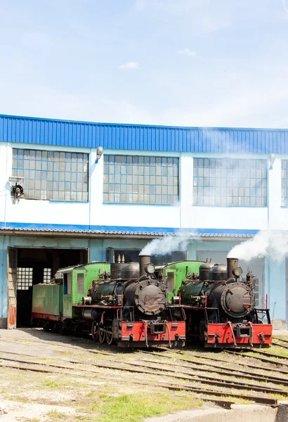 Locomotives à vapeur dans un dépôt, Kostolac, Serbie — Photo