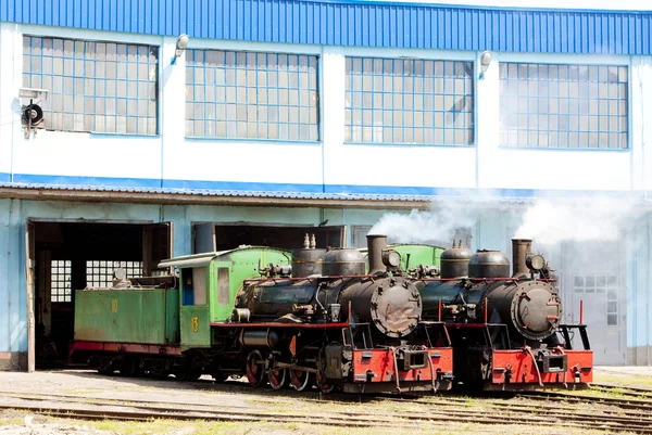 Locomotive a vapore in deposito, Kostolac, Serbia — Foto Stock