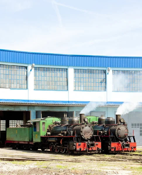 Locomotive a vapore in deposito, Kostolac, Serbia — Foto Stock
